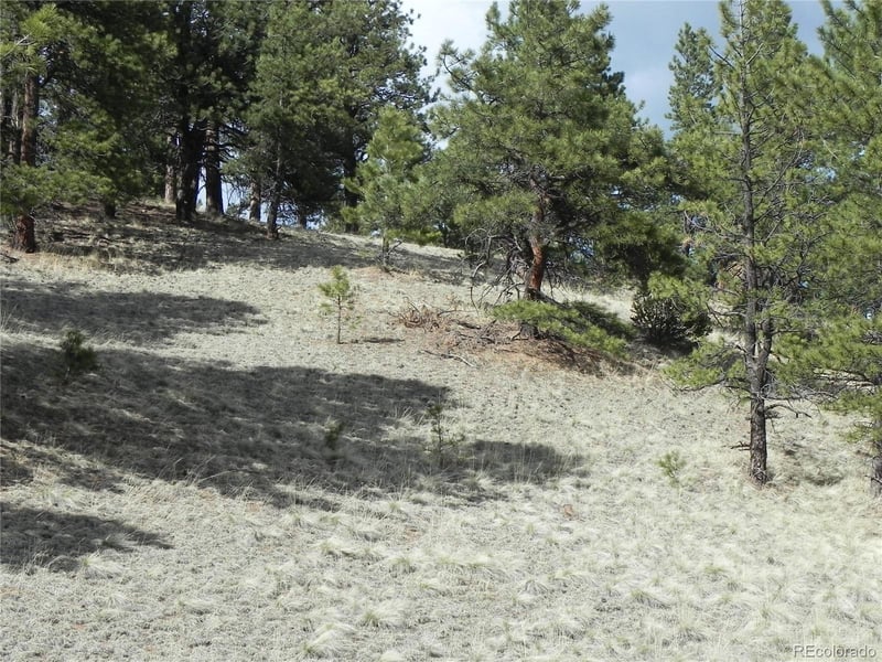 1699 Monarch Dr Lot 165, Cripple Creek, CO 80813