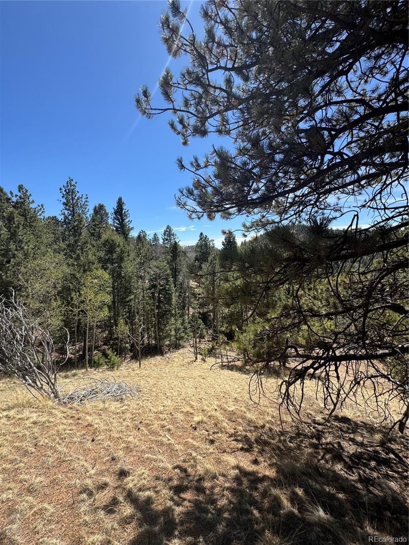 288 Troy Dr Lot 140, Cripple Creek, CO 80813