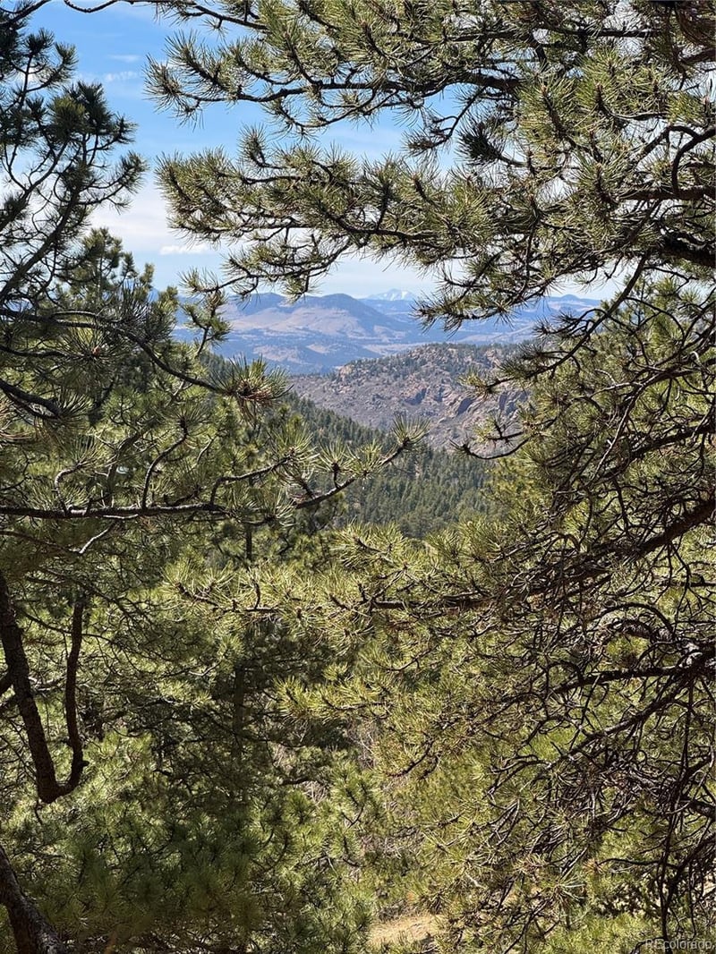 288 Troy Dr Lot 140, Cripple Creek, CO 80813