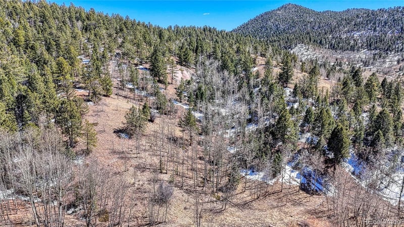 513 Last Dollar Dr, Cripple Creek, CO 80813