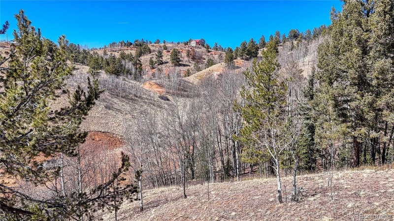 513 Last Dollar Dr, Cripple Creek, CO 80813