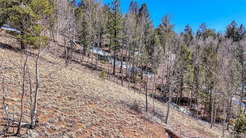 513 Last Dollar Dr, Cripple Creek, CO 80813