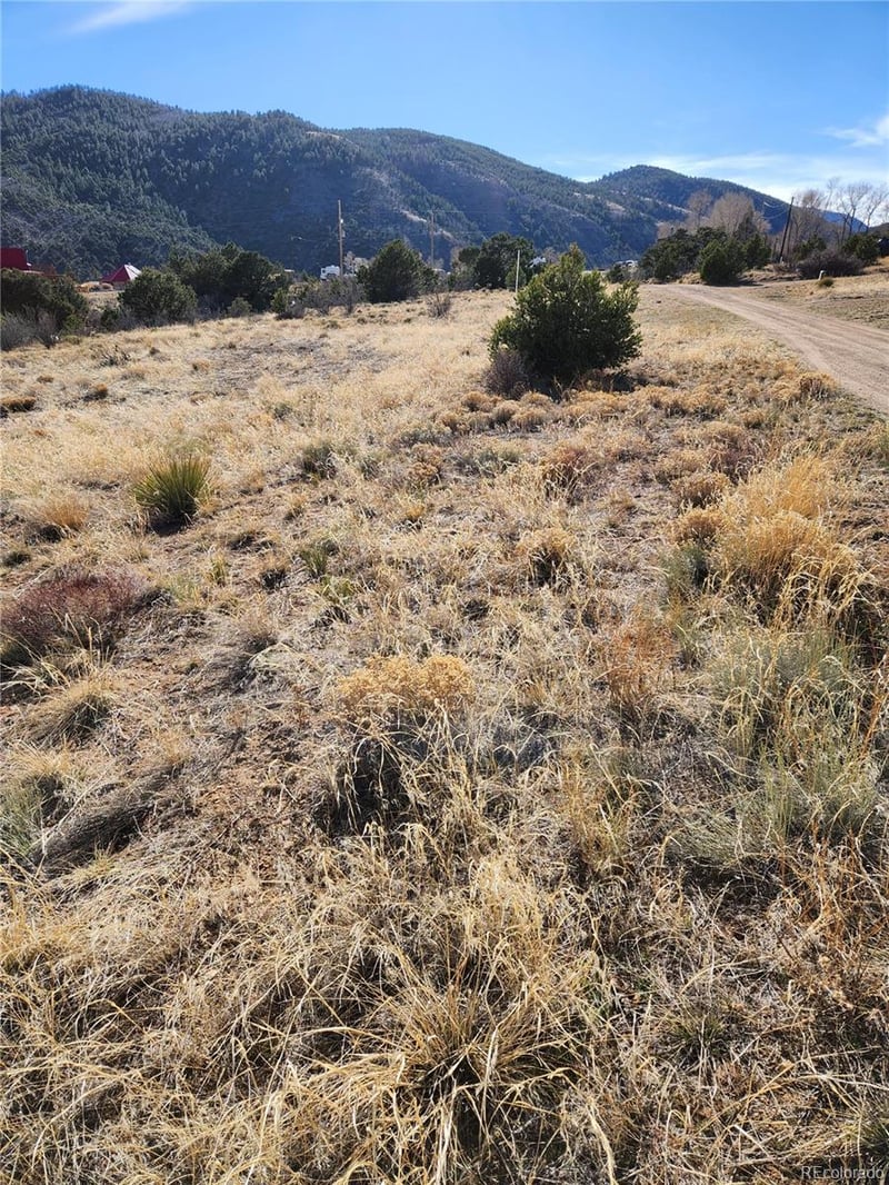 16115 Rocky Mountain Rd, Salida, CO 81201