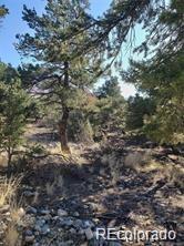 148 Lake Of The Falls Pw, Mosca, CO 81146