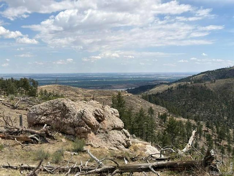 711 Saddle Ridge Rd, Bellvue, CO 80512