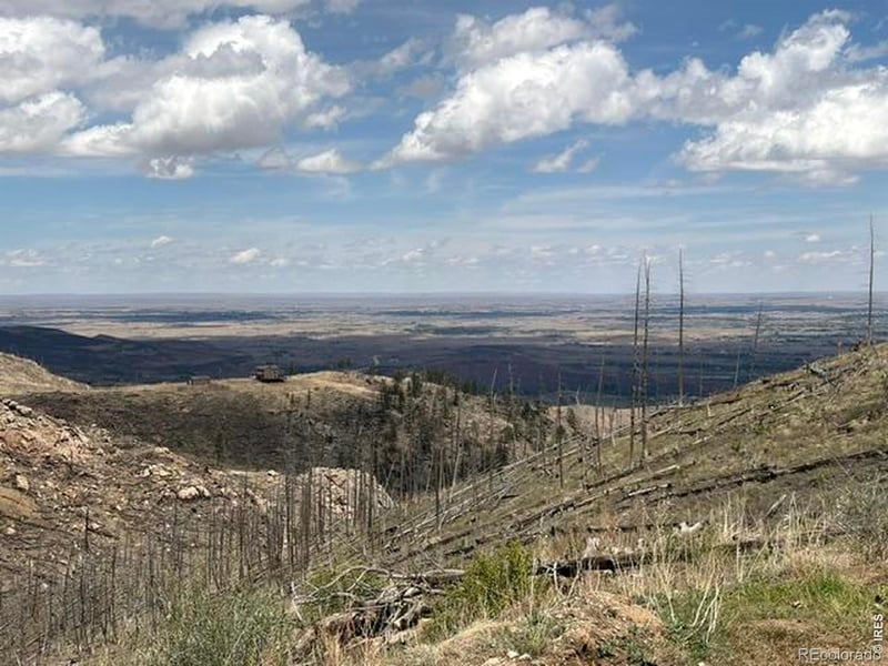 711 Saddle Ridge Rd, Bellvue, CO 80512
