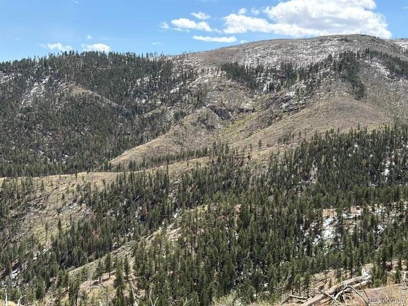 711 Saddle Ridge Rd, Bellvue, CO 80512