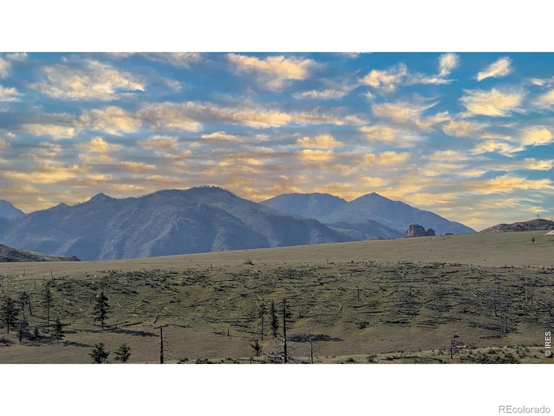 2185 Eiger Rd, Livermore, CO 80536