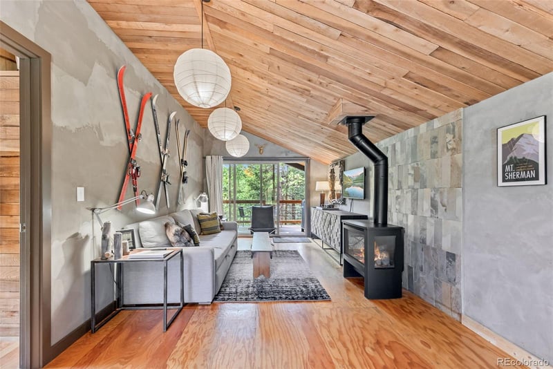 932 Peterson Dr, Alma, CO 80420