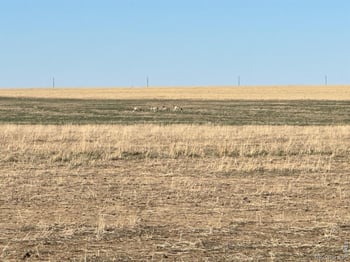 100 4 Rd, Arlington, CO 81021