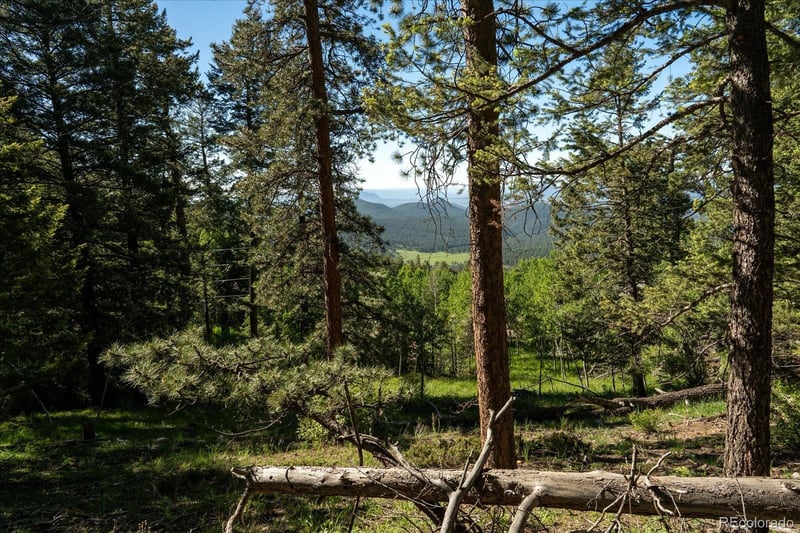 11698 Nichols Way, Conifer, CO 80433