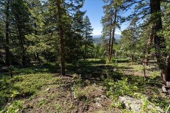 11698 Nichols Way, Conifer, CO 80433