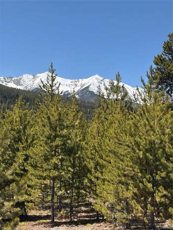 465 Gateway Dr, Breckenridge, CO 80424