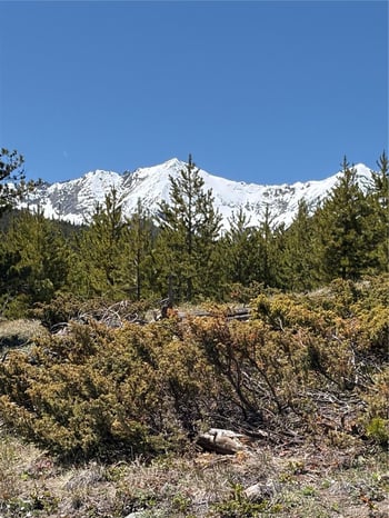 465 Gateway Dr, Breckenridge, CO 80424