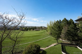 157 Cheney Pl, Castle Rock, CO 80104