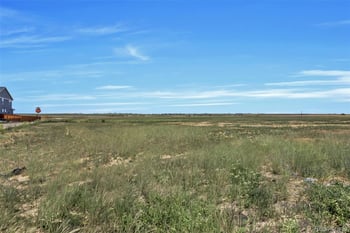 2959 Nectar St, Strasburg, CO 80136