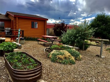 506 County Road 84, Wellington, CO 80549