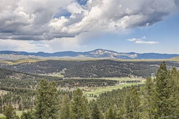 72 Hilltop Dr, Bailey, CO 80421