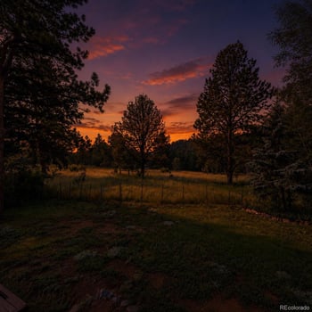 31280 Florence Rd, Conifer, CO 80433