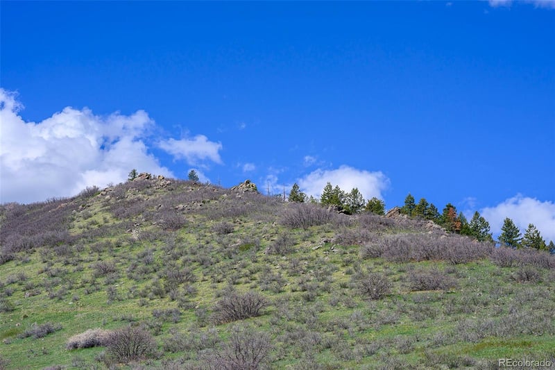 16653 Golden Rod Ln, Morrison, CO 80465