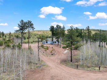 100 Wolverine Dr, Florissant, CO 80816