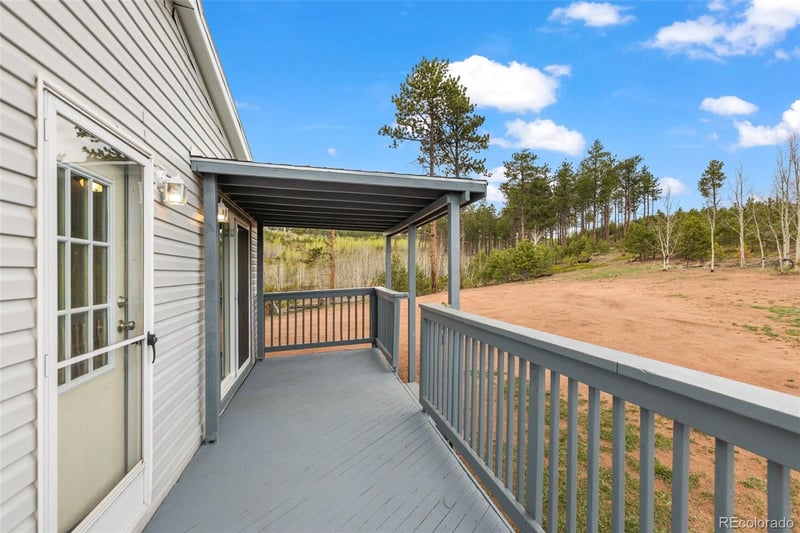 100 Wolverine Dr, Florissant, CO 80816