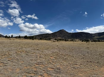 42 Turner Gulch Rd, Hartsel, CO 80449