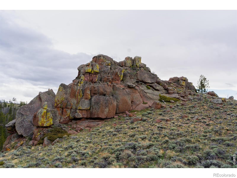 Laramie Overlook Roads, Livermore, CO 80536