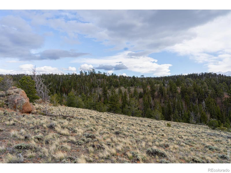 Laramie Overlook Roads, Livermore, CO 80536