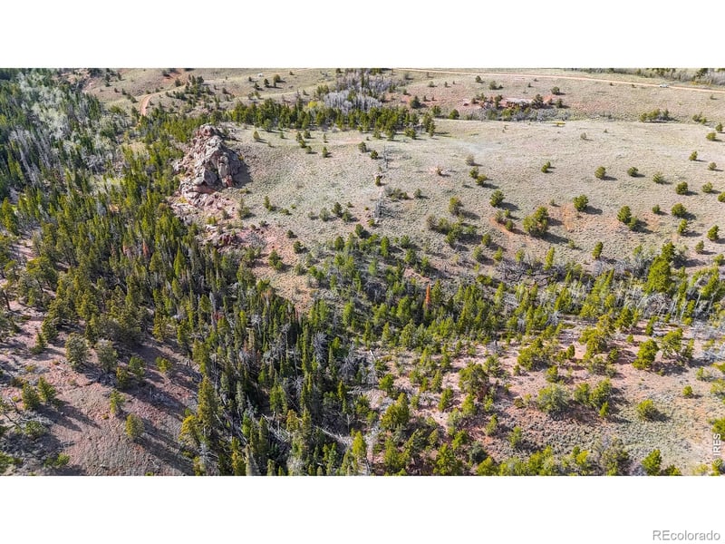 Laramie Overlook Roads, Livermore, CO 80536