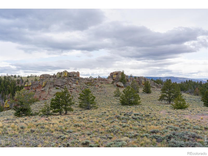 Laramie Overlook Roads, Livermore, CO 80536