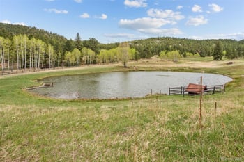 6351 Canyon Creek Rd, Evergreen, CO 80439
