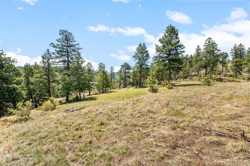6351 Canyon Creek Rd, Evergreen, CO 80439