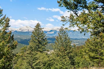 6361 Canyon Creek Rd, Evergreen, CO 80439