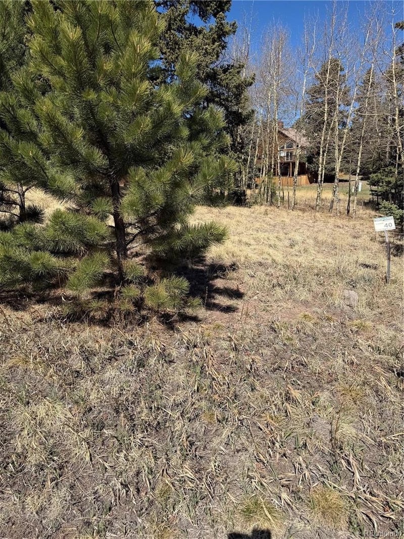 405 Meadow Park Dr Lot 40, Divide, CO 80814