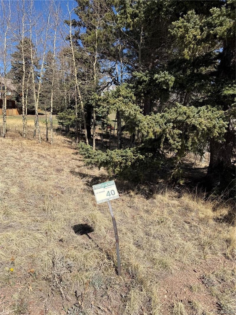 405 Meadow Park Dr Lot 40, Divide, CO 80814
