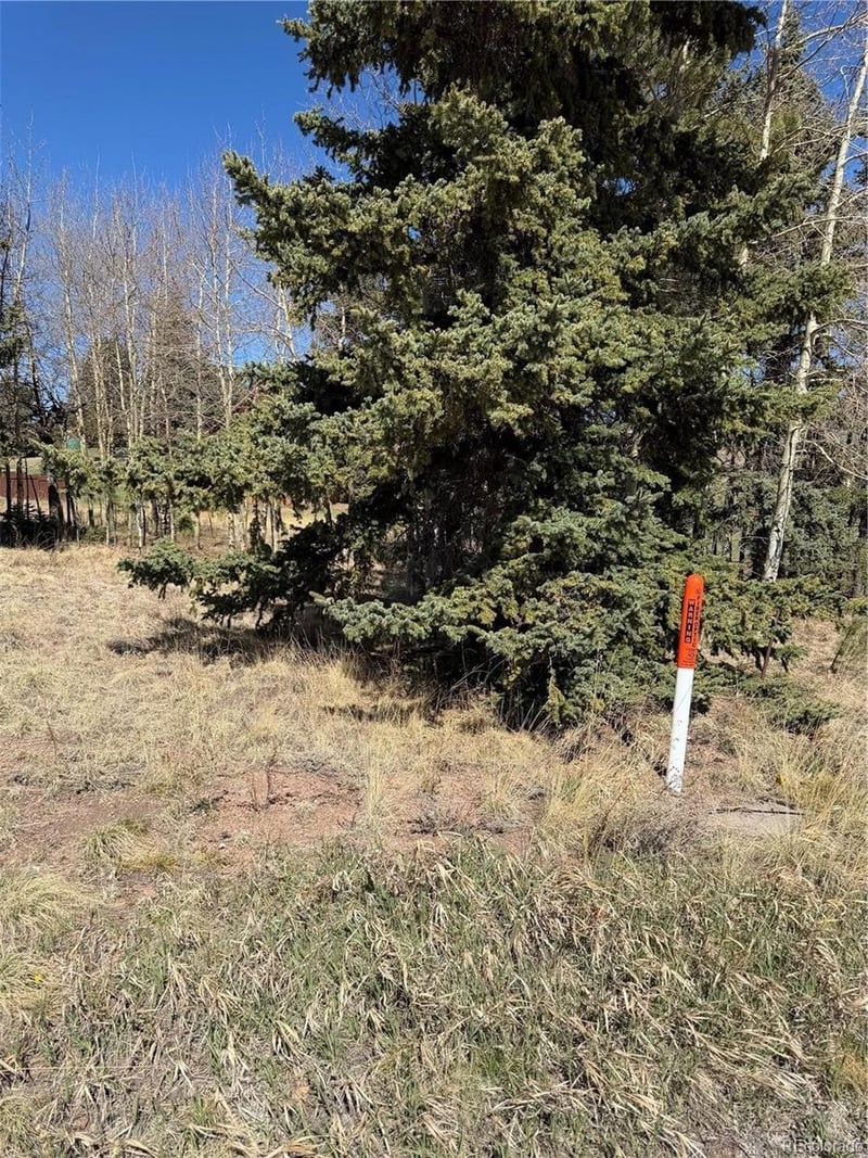 405 Meadow Park Dr Lot 40, Divide, CO 80814