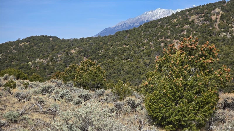 Lot 4536 Sarnoff Rd, Fort Garland, CO 81133