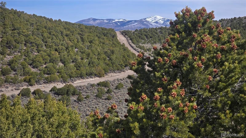 Lot 4536 Sarnoff Rd, Fort Garland, CO 81133