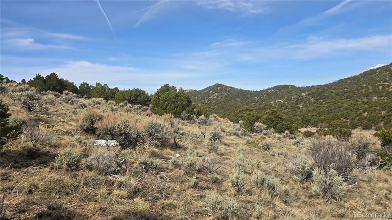 Lot 4536 Sarnoff Rd, Fort Garland, CO 81133