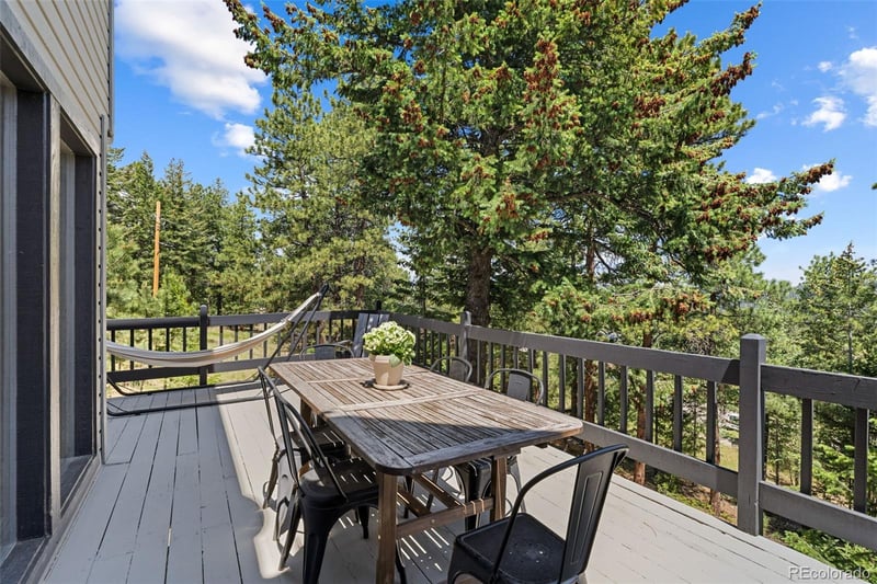 6159 Skyline Dr, Evergreen, CO 80439
