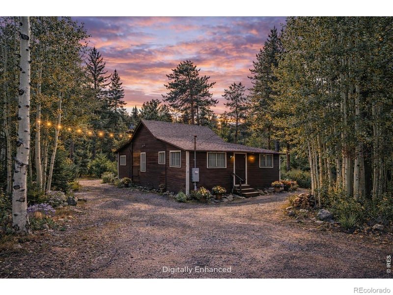550 W Breed St, Nederland, CO 80466