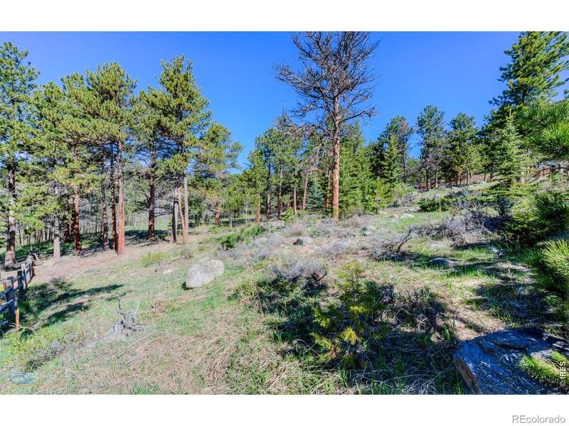 87 Sundance Cir, Nederland, CO 80466