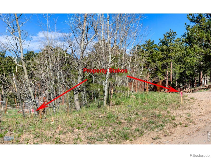 87 Sundance Cir, Nederland, CO 80466