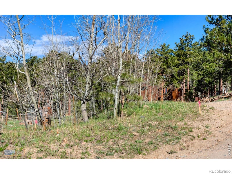 87 Sundance Cir, Nederland, CO 80466