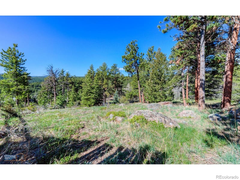 87 Sundance Cir, Nederland, CO 80466