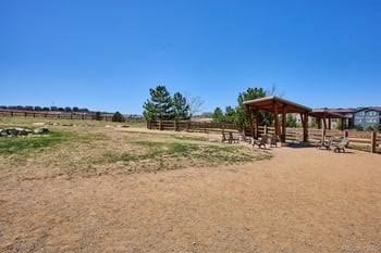 605 Silver Rock Trl, Castle Rock, CO 80104