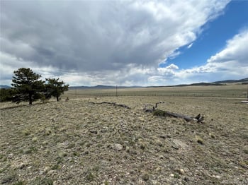 591 Singletree Ct, Hartsel, CO 80449