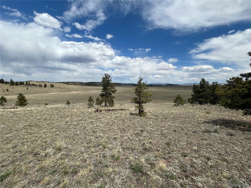 591 Singletree Ct, Hartsel, CO 80449