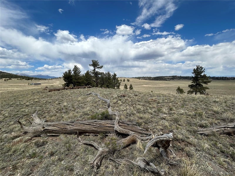 591 Singletree Ct, Hartsel, CO 80449